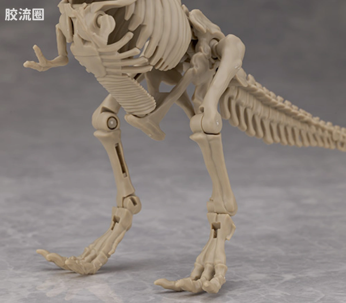万代综合拼装模型系列 Plannosaurus <侏罗纪世界 重生> 霸王龙 - 图片